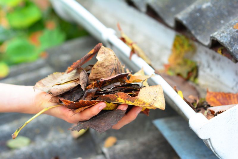 Debris Removal from Gutters
