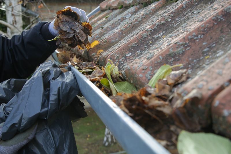 Cleaning Gutters after Storms